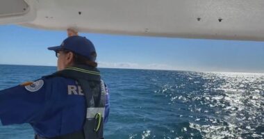 The search was scaled back at 1pm today.