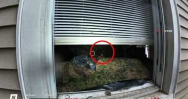 Second body found after deadly Stamford standoff was homicide victim