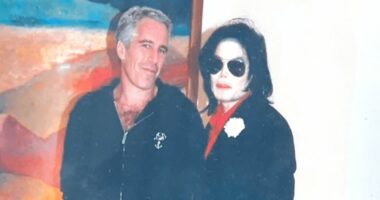 See every shocking photo from Epstein files