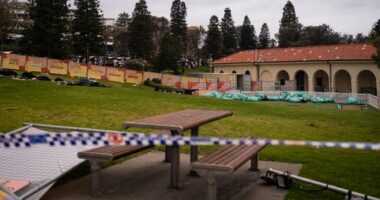 Beachgoers and people at the Chanukah by the Sea event ran for their lives as the shooting erupted.