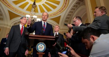 Senate Rejects Plan Giving $1,500 To Some Americans