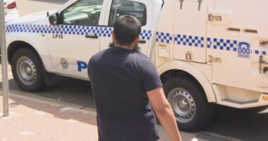 Seven men who were arrested yesterday after a dramatic operation have been released without charge.