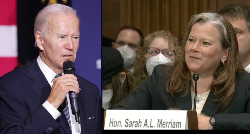 'She is a bully': Biden-appointed judge accused of 'berating' law clerks and other 'unhinged' behavior in new complaint