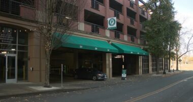 She was helping the homeless on Thanksgiving. Then her car was stolen.