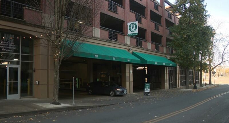 She was helping the homeless on Thanksgiving. Then her car was stolen.