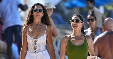 Simon Cowell spends the festive season in Barbados with fiancée AND ex