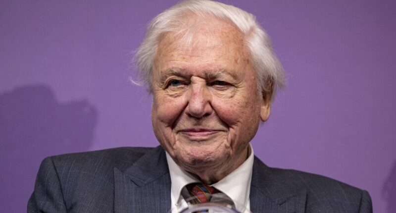 Sir David Attenborough, 99, admits major health decision that's helped with 'long life'