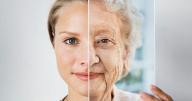 Six parts of our body that stretch with age – and the embarrassing men's bit that shrinks