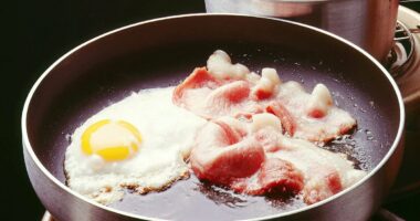 Smelling bacon in the WOMB could be cause of adulthood obesity, scientists suggest