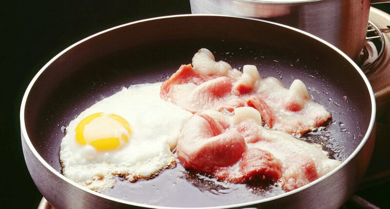 Smelling bacon in the WOMB could be cause of adulthood obesity, scientists suggest