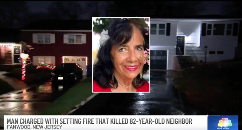So-called 'hero' neighbor actually killed woman: Police