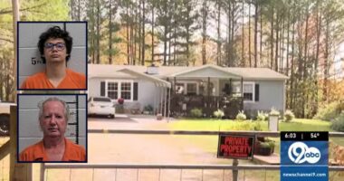 Son beat mom with baseball bat as her husband watched: Cops