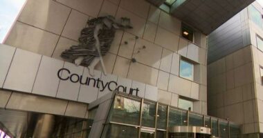 Son of high-profile man found guilty of raping woman inside home