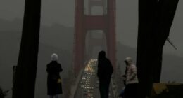 Southern California drivers urged to reconsider Christmas travel as heavy rain and winds roll in