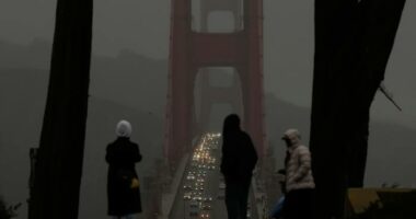 Southern California drivers urged to reconsider Christmas travel as heavy rain and winds roll in