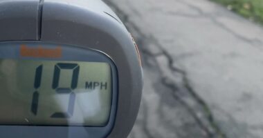 Speedometer reveals if cyclists have turned park into a 'motorway'