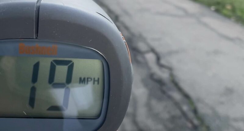 Speedometer reveals if cyclists have turned park into a 'motorway'