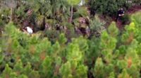 St. Johns County aerial and bodycam footage shows hourslong manhunt for fugitive