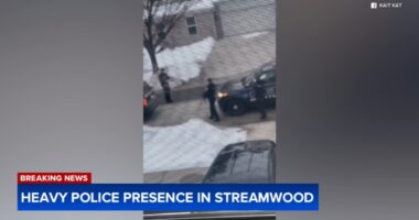 Streamwood, Illinois news: Police surround home for hours near Yellowstone Drive, Kings Canyon Drive, attempting to arrest suspect