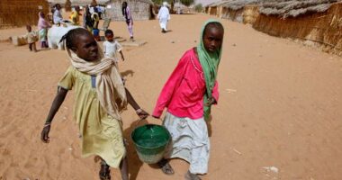 Sudanese paramilitary group RSF killed more than 1,000 civilians in Zamzam camp in April, UN says