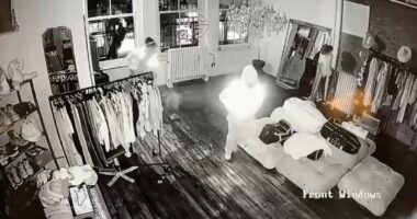 Surveillance video shows brazen heist at high-end boutique in New York City