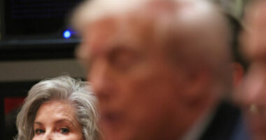 Susie Wiles: Trump Will Campaign for 2026 Midterms 'Like It's 2024 Again'