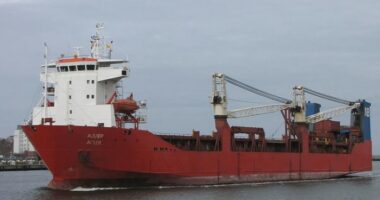 The Russian cargo ship Adler sails on the water, showing a red hull, white superstructure, and onboard cranes.