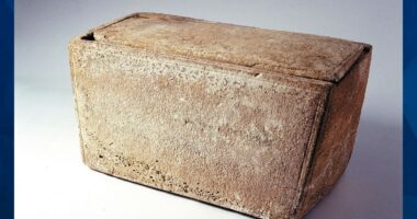 THE PROSECUTION’S CASE FOR CHRIST