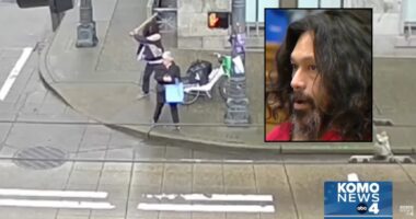 'Take a wood club with nails': Man gouged out 75-year-old woman's eye in random attack outside county courthouse, authorities say