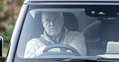 Tawdry picture that will cast a dark cloud over the Royals' Christmas