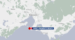 Teen charged as man, 18, fights for life after falling from roof of moving car