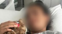 A 14-year-old girl bravely took a bullet to her thigh as she shielded two toddlers from the gunfire that rained down on crowds at Bondi Beach. ï»¿