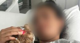 A 14-year-old girl bravely took a bullet to her thigh as she shielded two toddlers from the gunfire that rained down on crowds at Bondi Beach. ï»¿