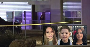 Teen murdered ex-girlfriend's mom, brother and sister: Cops