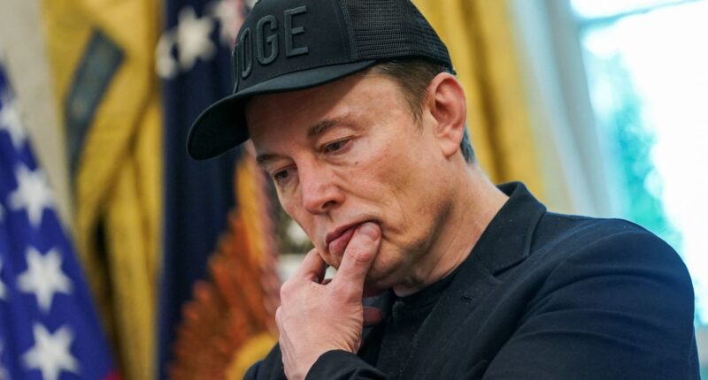 Tesla CEO Elon Musk defends H-1B visas, says tariffs distort markets