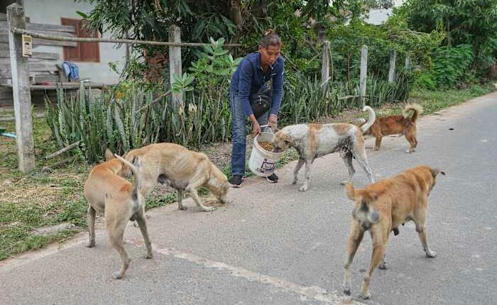 Thai villagers stay behind to guard empty homes as border clashes force mass evacuations