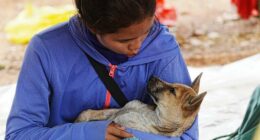 Thailand reports first civilian deaths in renewed border conflict with Cambodia