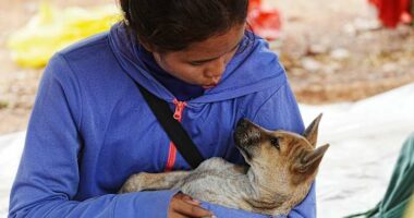 Thailand reports first civilian deaths in renewed border conflict with Cambodia