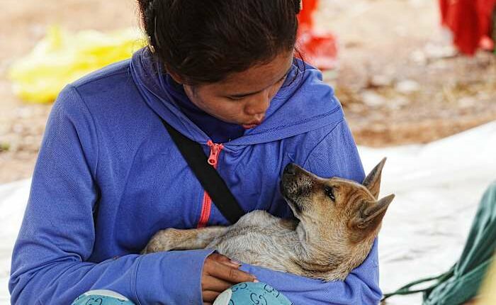 Thailand reports first civilian deaths in renewed border conflict with Cambodia