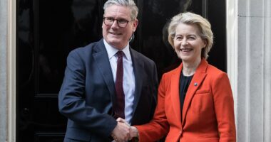 The £6billion cost of Keir Starmer's new bid to suck up to Brussels