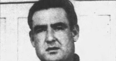 The SAS's WWII mission to rescue PoWs deep behind enemy lines