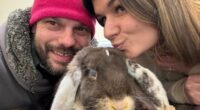 The rabbit farm and X 'follow' leading to a feud with the trans lobby