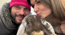 The rabbit farm and X 'follow' leading to a feud with the trans lobby