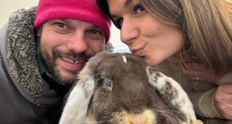 The rabbit farm and X 'follow' leading to a feud with the trans lobby