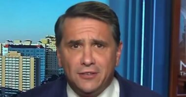 The real reason why Trump's photo vanished in Epstein files