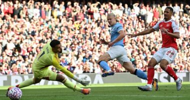 The secrets of the Manchester City 'tortoise' and the ominous signs they are ready to hunt down Arsenal in title race (again): How Pep Guardiola builds his terrifying machine in pre-season and the rewards it brings after Christmas