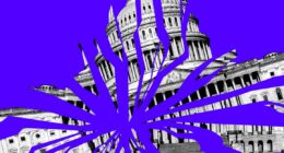 The year the government broke