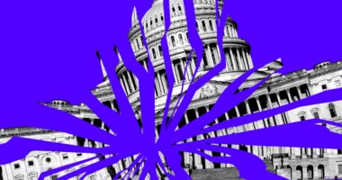 The year the government broke