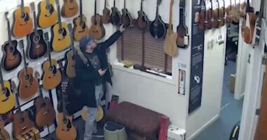 Thief returns stolen mandolins after going viral