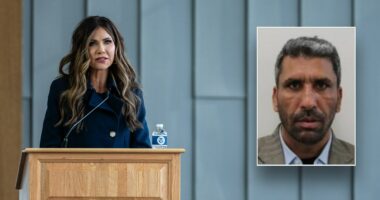 Third Afghan national from Biden-era program arrested in a week by ICE agents in Virginia: DHS